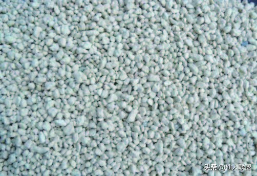 石食者THESTONEEATERS六