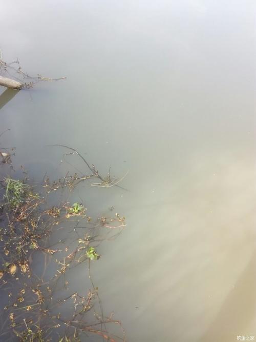 野钓急流水最佳方法,水又特别浑浊鱼又很少怎么才好钓