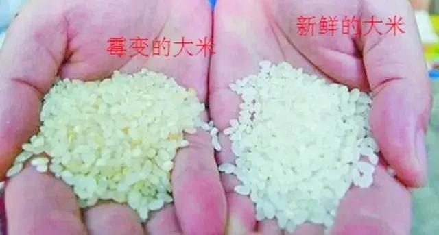 陈米翻新能辨别么,大米陈米怎么辨别