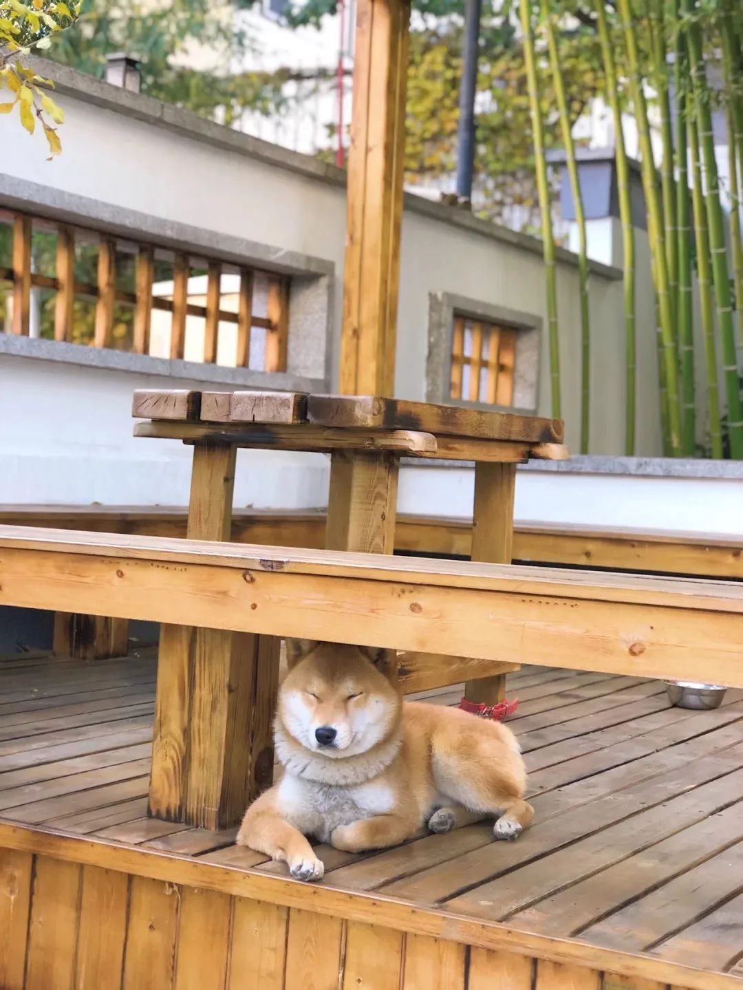 3天2夜游！它是被低估的海滨小城，藏着独属于11月的盛大美景|冬游齐鲁