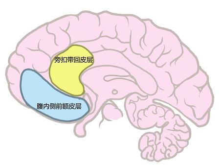 相亲看对眼是什么体验,相亲彼此看对眼的表现