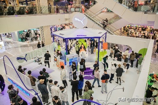 pumaroaringwild绯诲垪,pumaxroaringwild鑱斿悕