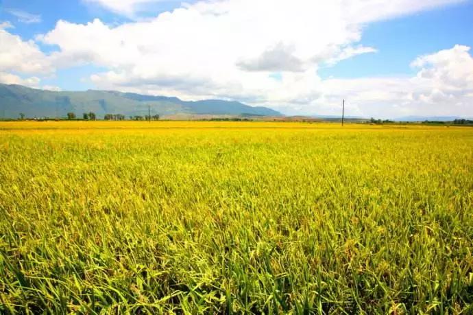 鹰潭好还是贵溪好,贵溪是一个怎样的地方