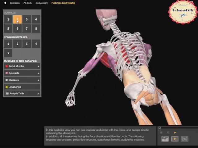 【运动损伤Respond】第一期，俯卧撑与肘关节疼痛。
