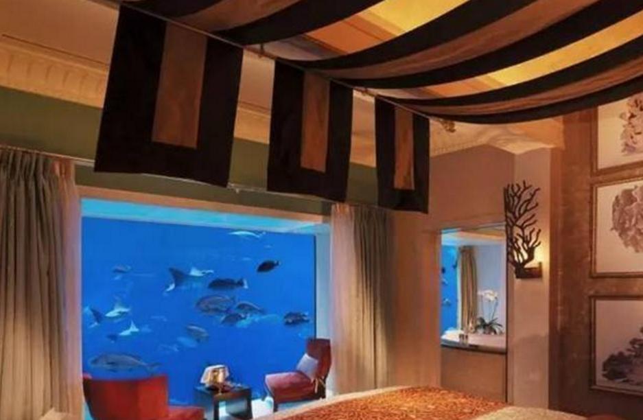 孙俪房似锦深坑酒店,孙俪深坑酒店完整版