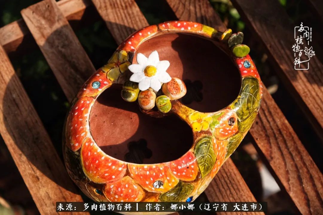 你是盆我是花，你护我周全，我为你绽放