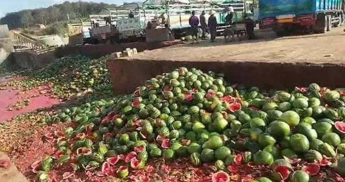 缅甸西瓜疫情最新消息,受疫情影响西瓜价