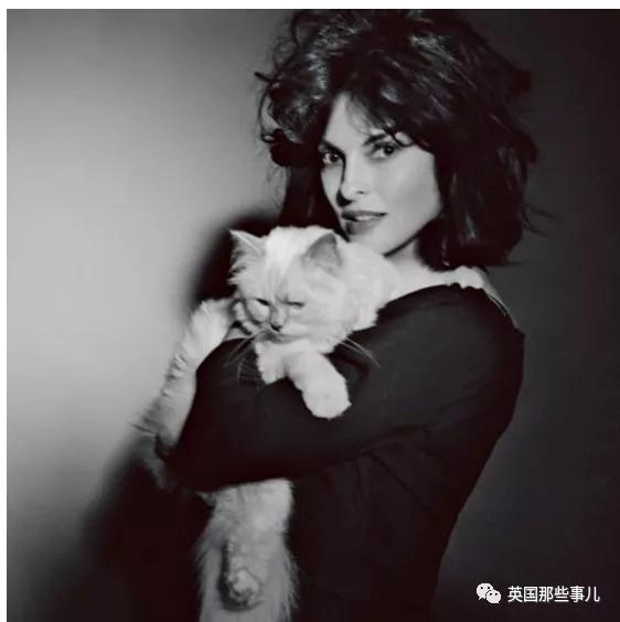 老佛爷的猫继承多少遗产,老佛爷去世后财产留给了一只猫