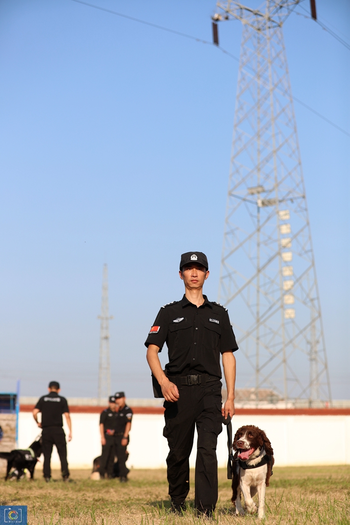 警犬训犬师的工作和生活,如何成为一名合格的警犬训导员