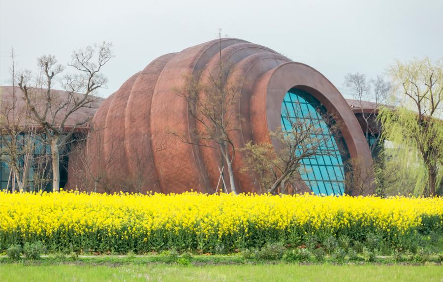 上海国庆小众旅行攻略路线图,上海出发国庆旅游攻略推荐