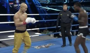 泰拳王子播求vs武僧一龙,泰拳王子播求vs跆拳道完整版