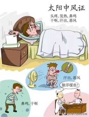 伤寒论脉解篇,伤寒论释疑大全