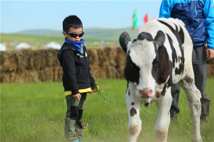 狗狗多大可以喝零乳糖的牛奶,辟谣狗不能喝牛奶