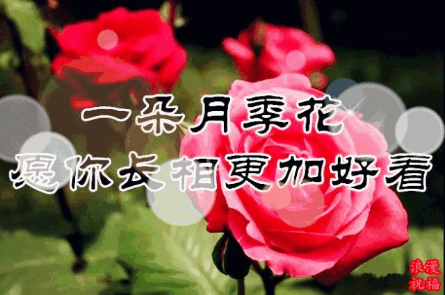 三八妇女节问候公文形式,三八妇女节问候男人