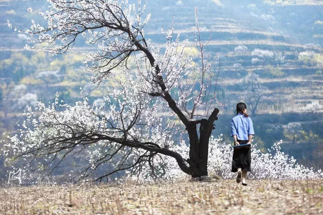 “五一”去哪玩？这份指南汇集潍坊各大景区精华，线路+门票优惠