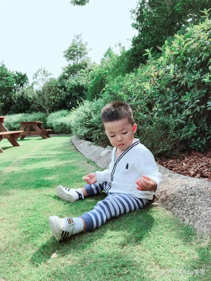 独自带2岁的娃怒刷了10次上海迪士尼，不听我听谁？