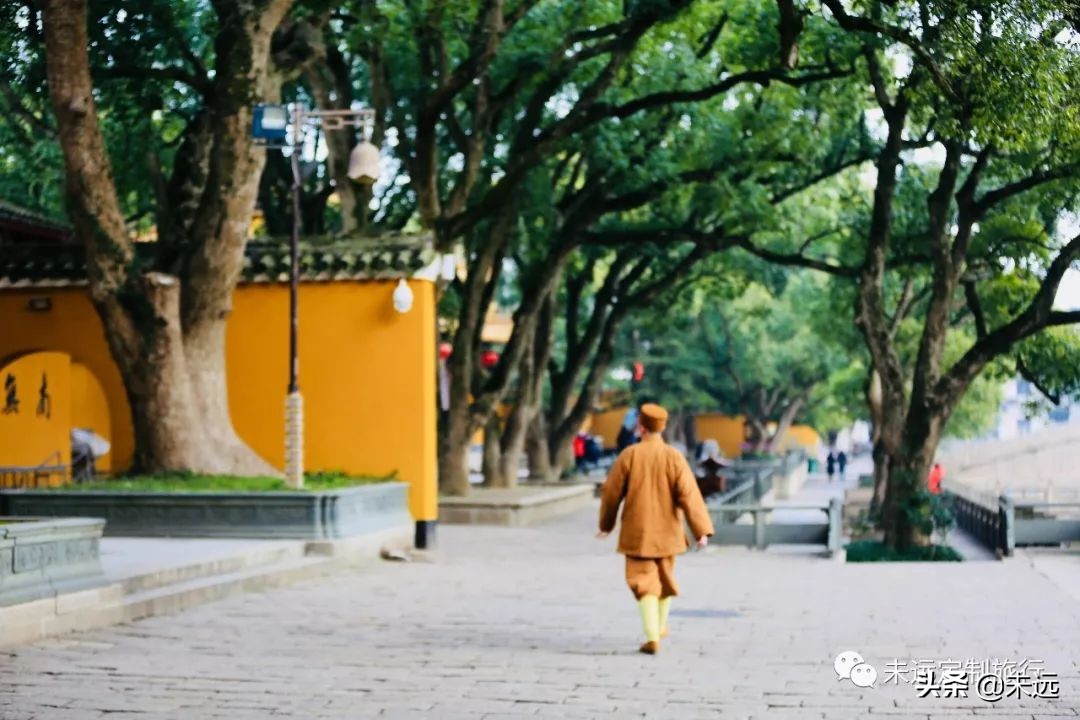 普陀山西塘杭州五日游,苏州杭州普陀山乌镇四日游