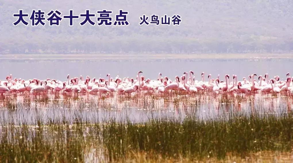 深圳东部华侨城两日自驾游,深圳东部华侨城两日游超详细攻略