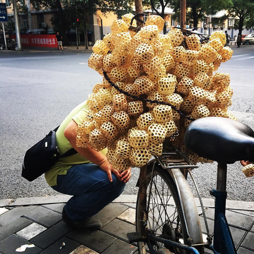 通过养蝈蝈怎么赚钱,养蝈蝈一年利润