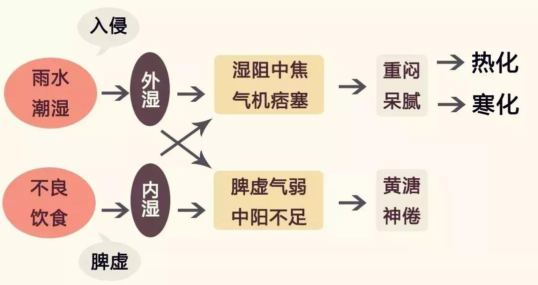 湿气太重百病缠身吃什么,湿气除百病消