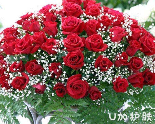 玫瑰美白嫩肤精油的调制教你如何自己调制喜欢的