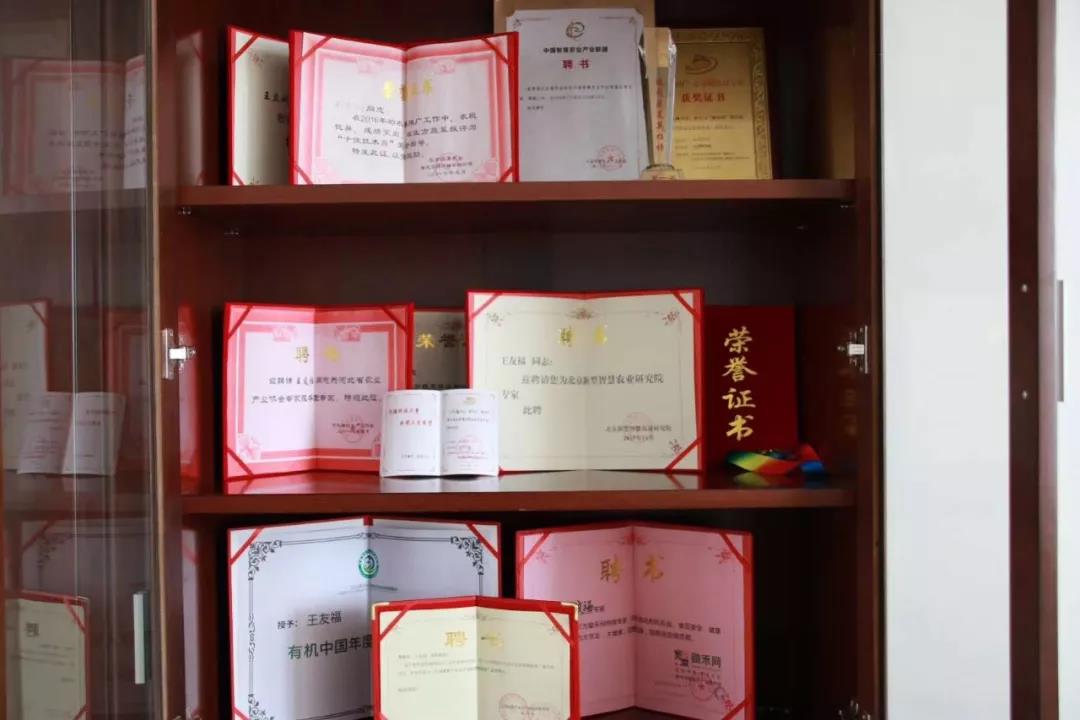 抢名额，19期中国无土栽培和土壤种植技术升级集成培训会