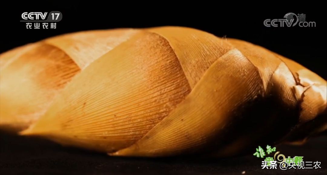 冬笋没能去除麻涩味吃了有害吗,冬笋如何焯水去涩味放冰糖和白醋