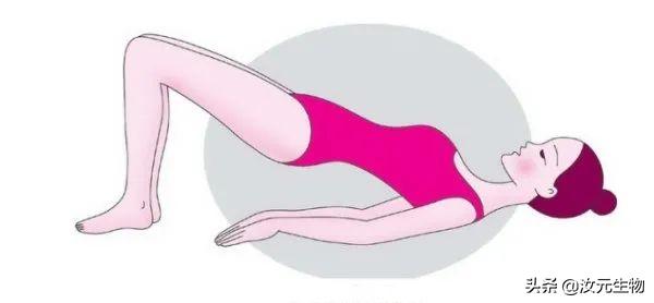 如何放松你的盆底肌,你有好好养护自己的肝脏吗