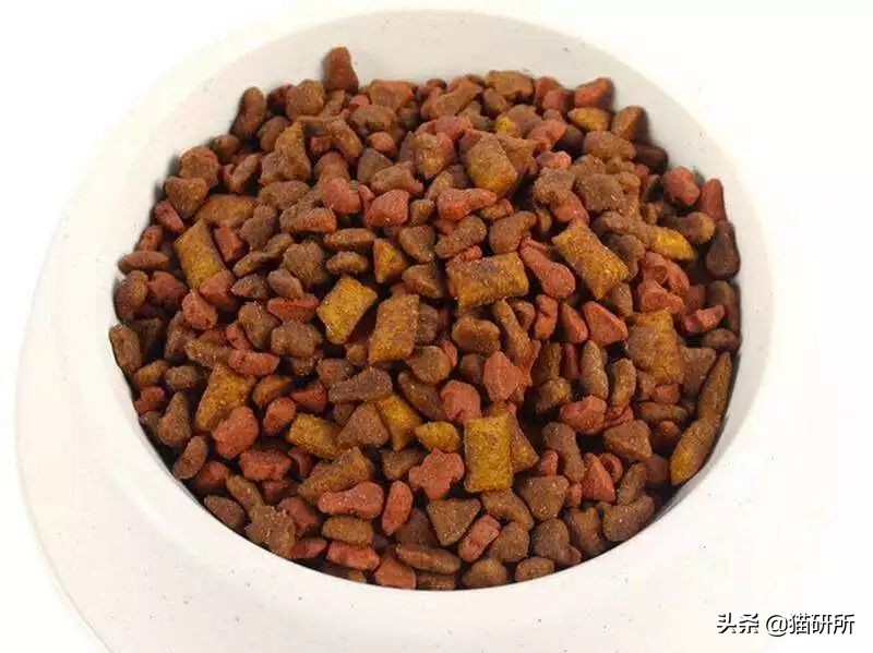 两个月的猫咪吃泡粮好还是干粮,猫咪喂粮应该都喂些什么