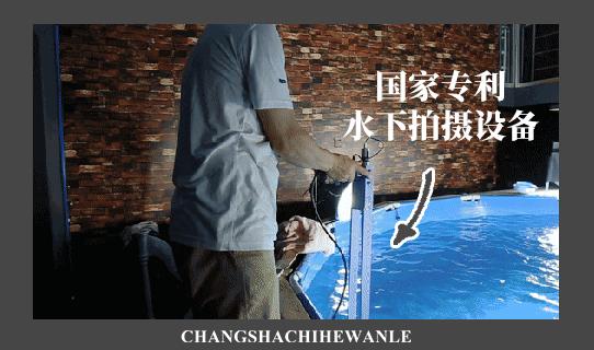 巅峰之夜湖南卫视,湖南卫视巅峰之夜咏春