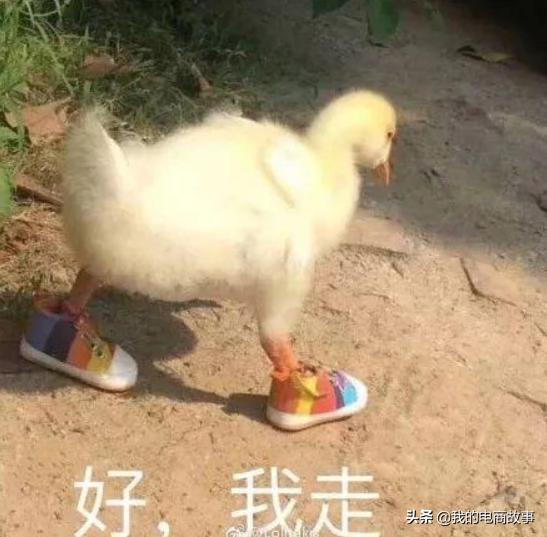 老司机首次网购的惨痛经历,电商老板司机亲身经历