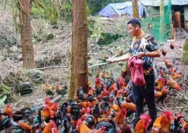 51岁三德子赵亮近况,三德子赵亮成名之路