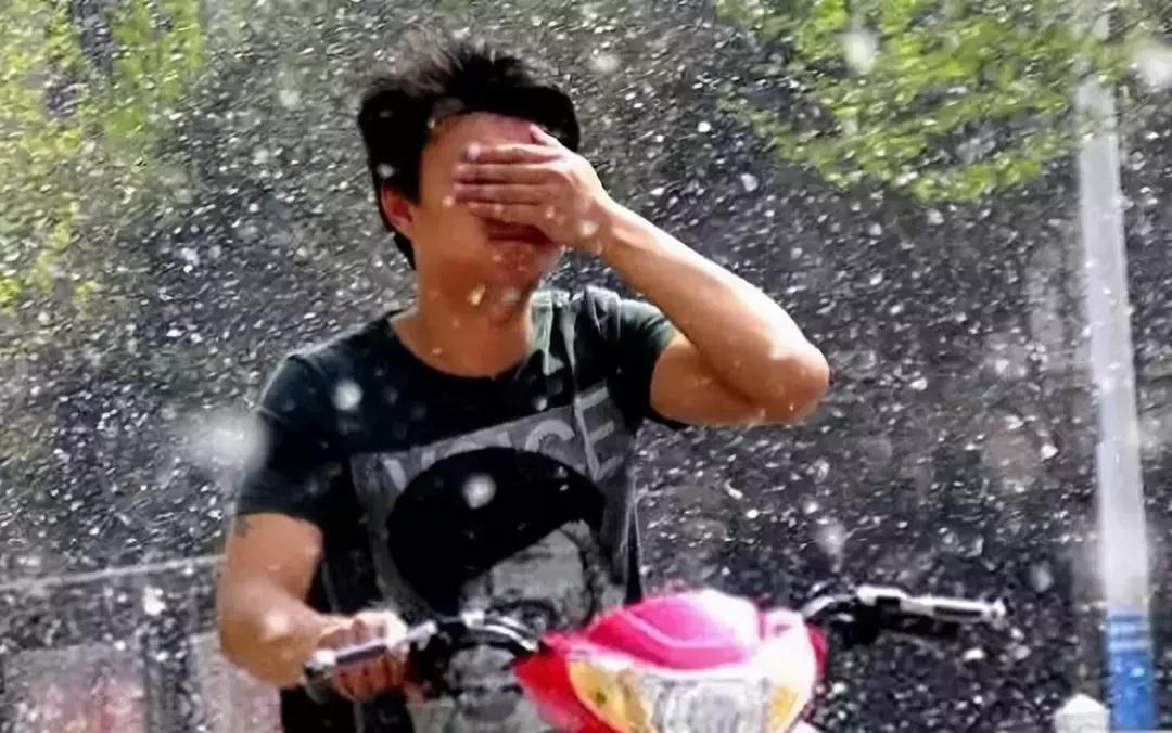 被柳絮困扰,被柳絮搞到崩溃是什么体验