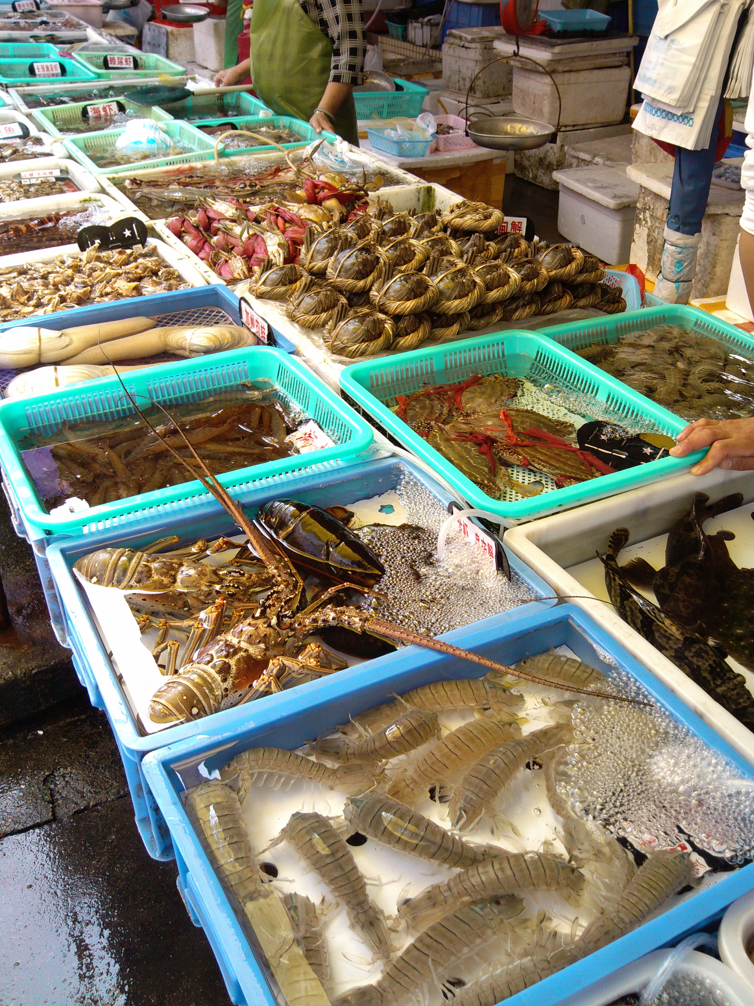 珠海石景山公园攻略,珠海澳门环岛游时间表