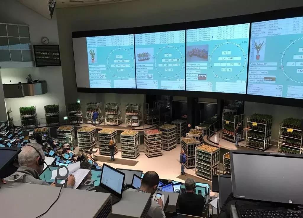 世界顶级鲜花市场,全国最大鲜花交易市场