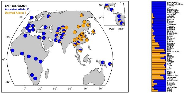 狐臭如何破坏大汗腺,有狐臭是因为大汗腺吗