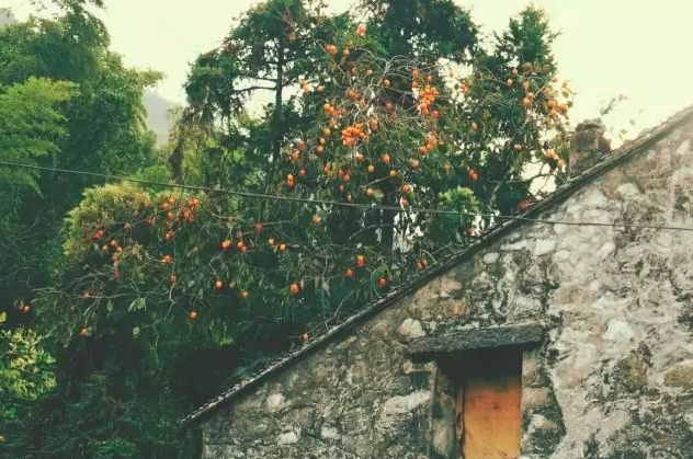 比厦门安静的海滨城市,比厦门安静10倍