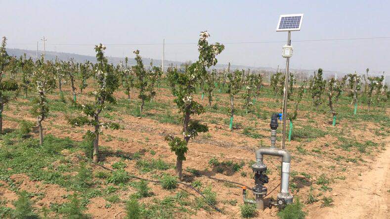 渭南农业产业园,华州区苗木花卉产业园