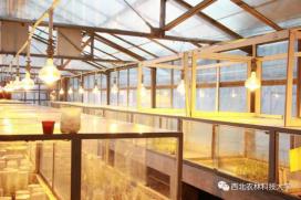 志愿填报季,你必须要知道的“宝藏”大学——西北农林科技大学