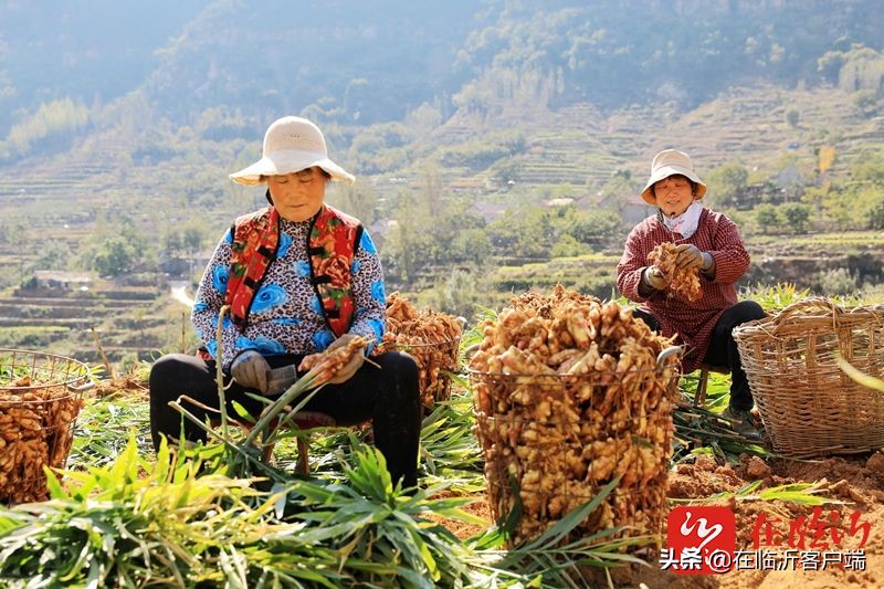 镜观临沂｜临报新闻照片一周精选（2021年10月29日）