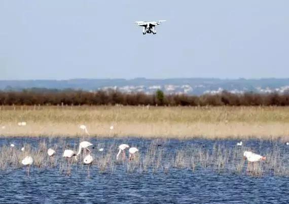 被囚34年取精，被迫亲手杀死爱子，最后只能挣扎着死去……