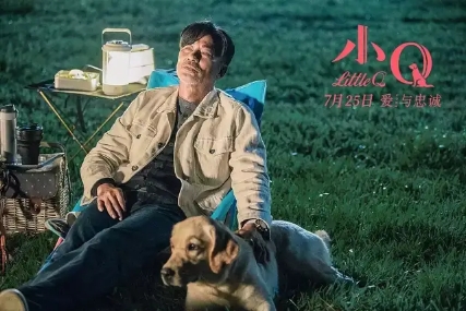 NG次数打破从影记录,任达华的《小Q》本就与众不同