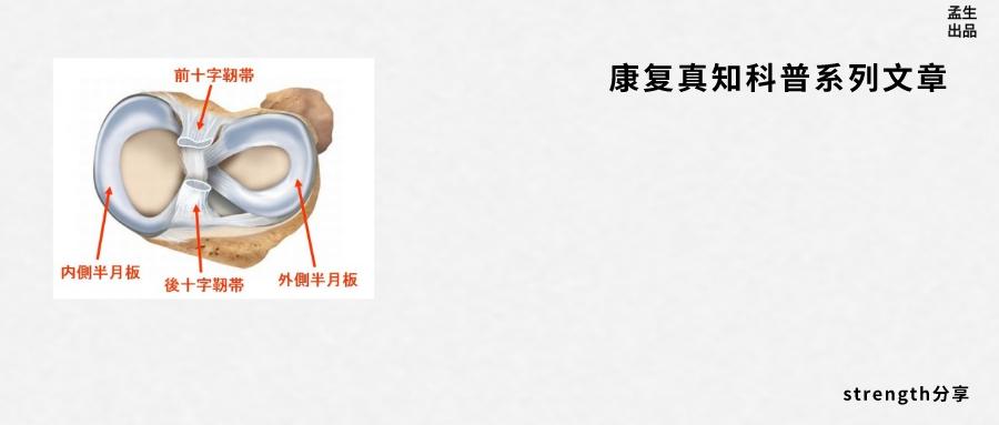 恶名昭彰介绍,恶名昭著劳伦斯