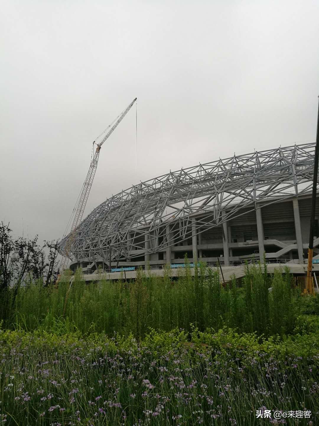 温州奥体中心体育综合馆,2023年温州飞盘奥体中心体育馆