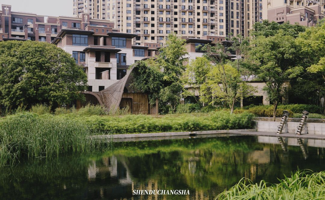 长沙旅游攻略必玩的十大景点介绍,长沙适合秋季打卡的景点