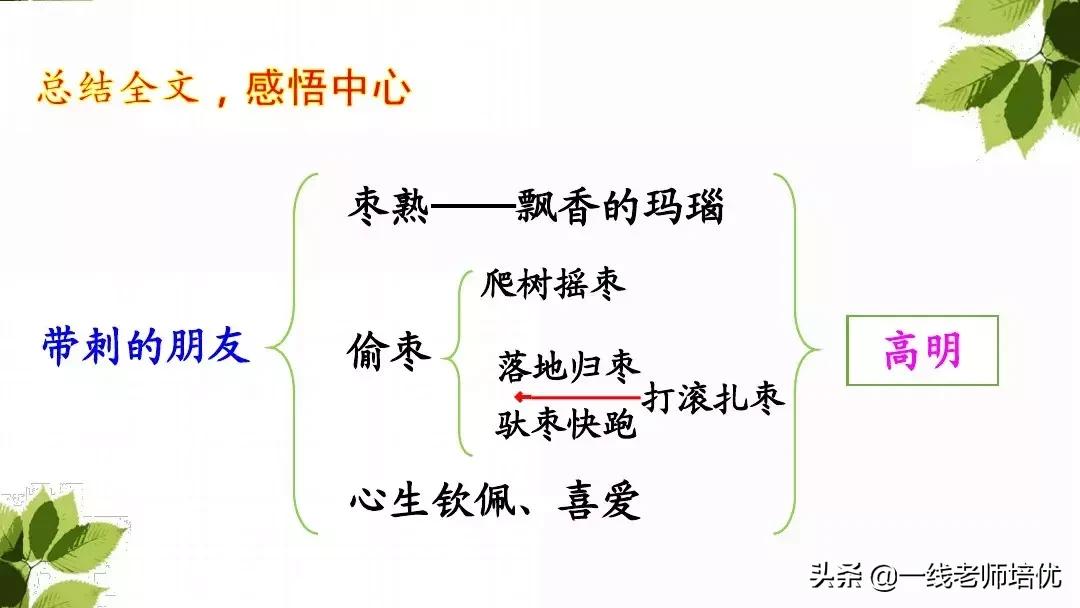 带刺的朋友三年级上册,三年级语文带刺的朋友课文知识点