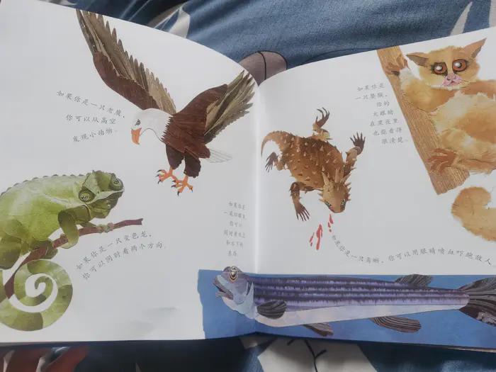 3-6岁儿童必读立体绘本,绘本3-6岁经典绘本早教科普