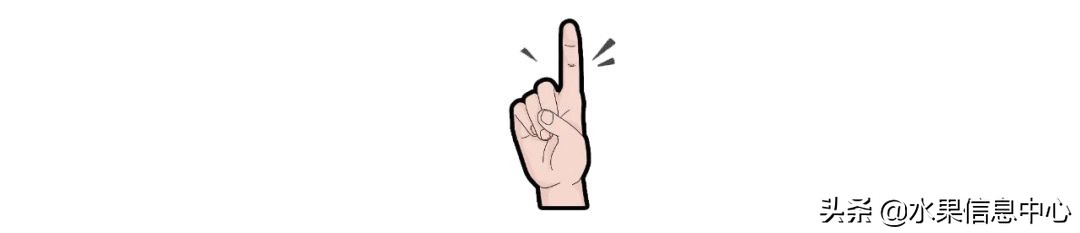 揭秘各种水果批发的价格,批发市场卖水果的技巧