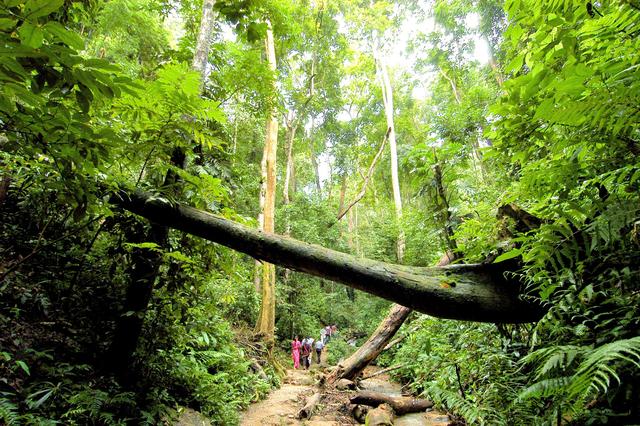 了解西双版纳的风俗和民族文化,西双版纳哈尼族特色民族文化