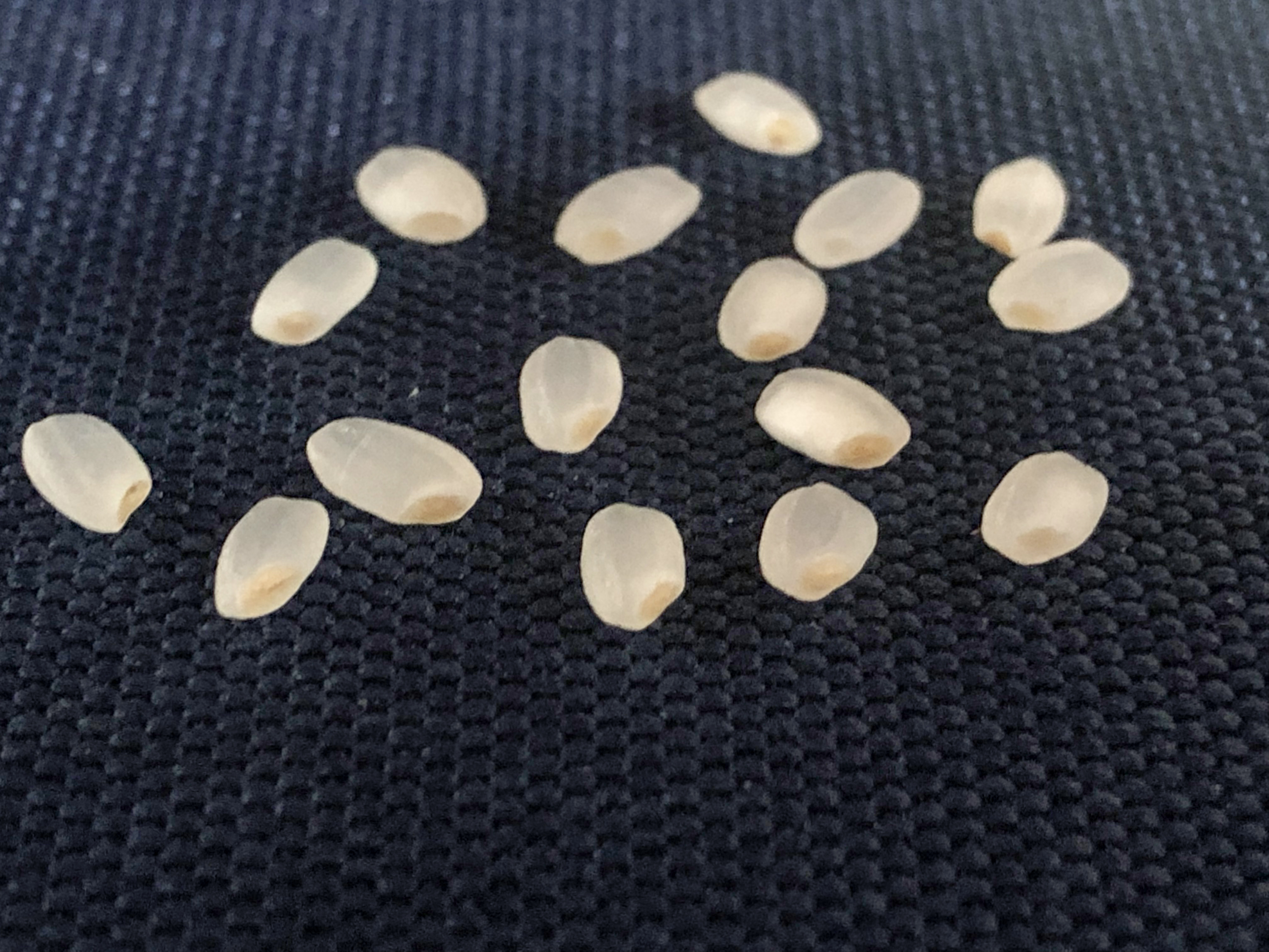 辨认好的大米的方法,区分大米的小窍门